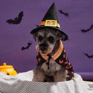 Dog Witch Costume